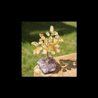 Árvore da felicidade Citrino