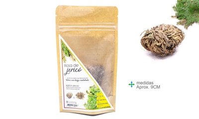 Rosa de jericó pequena