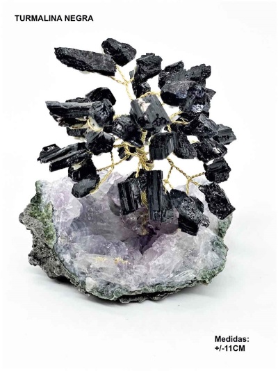 Árvore da felicidade Turmalina Negra