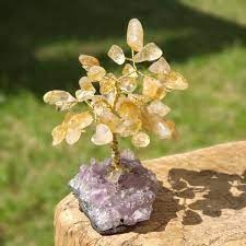 Árvore da felicidade Citrino