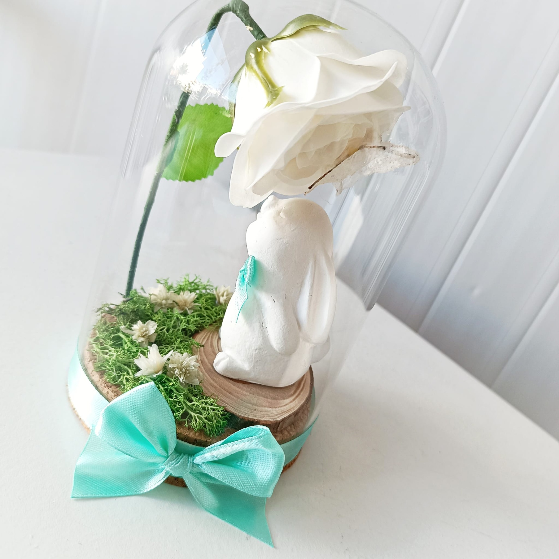 Campânula Coelhinho Campânula Coelhinho