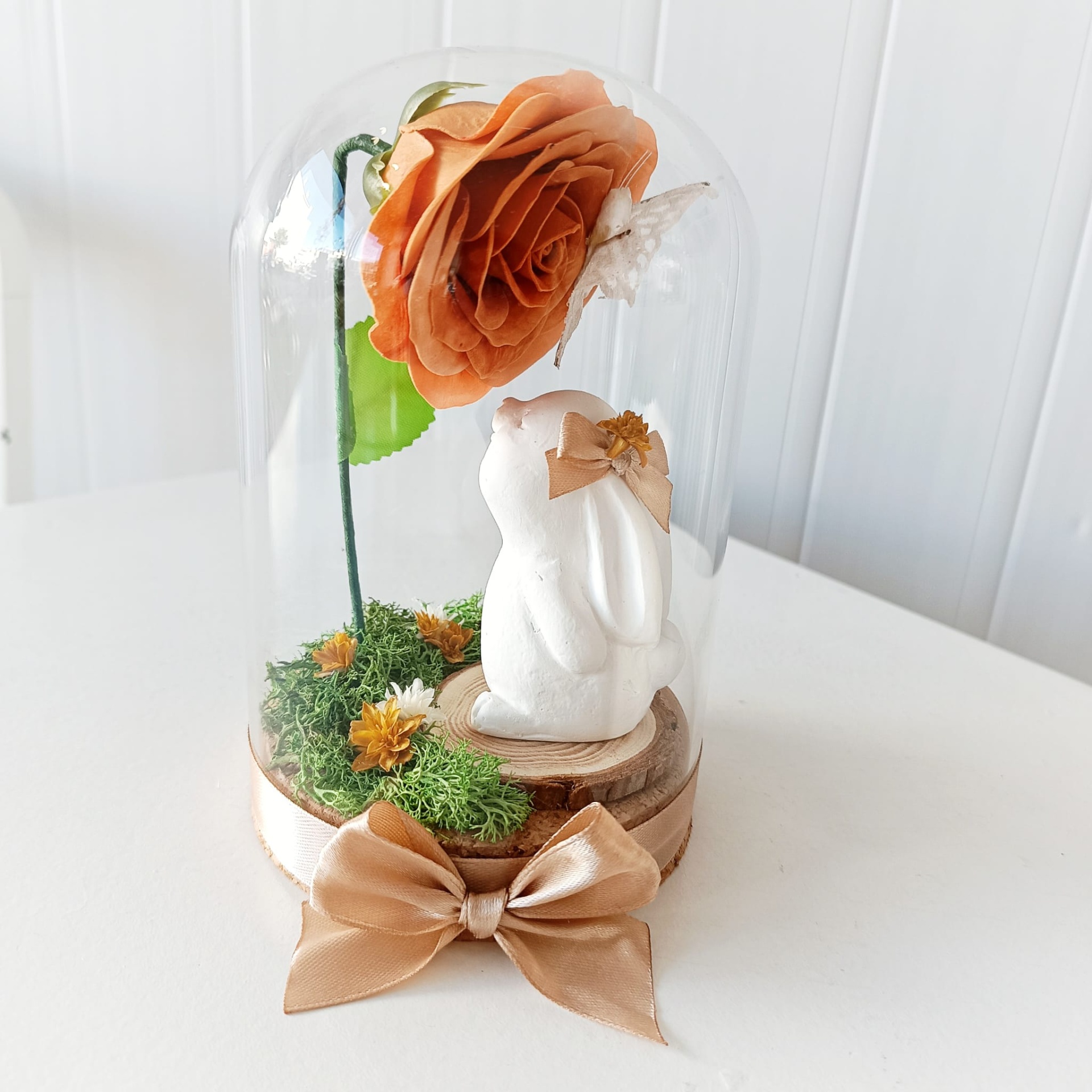 Campânula Coelhinho Campânula Coelhinho