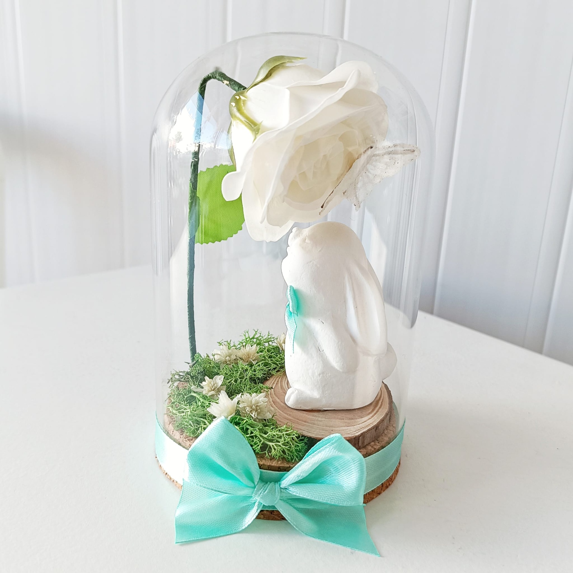 Campânula Coelhinho Campânula Coelhinho