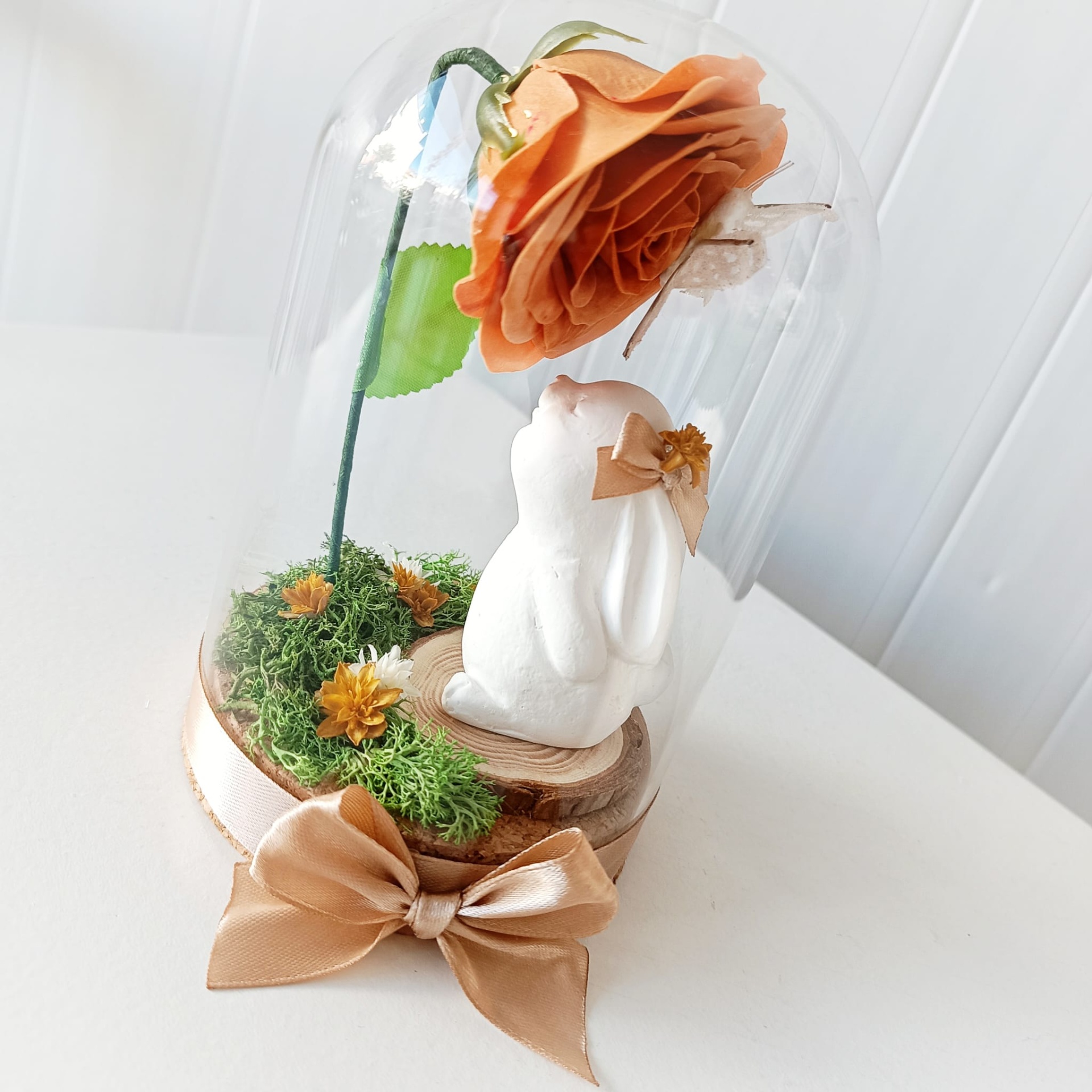 Campânula Coelhinho Campânula Coelhinho