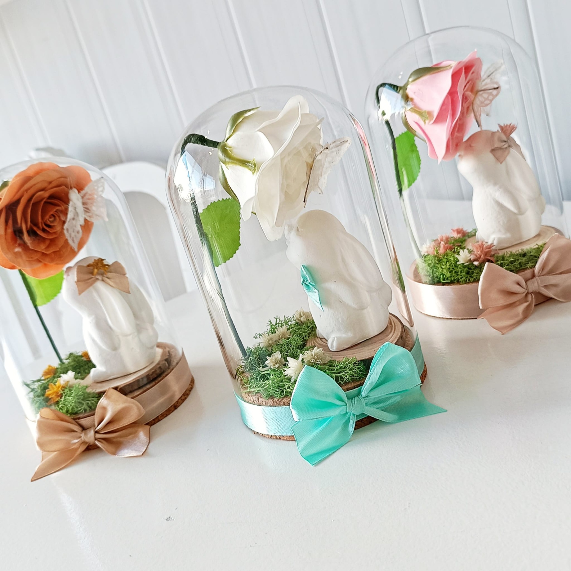 Campânula Coelhinho Campânula Coelhinho