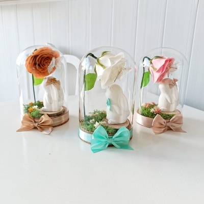 Campânula Coelhinho