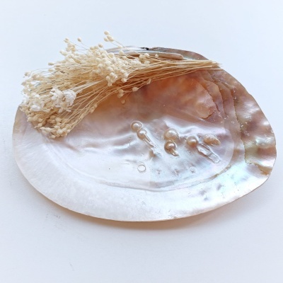 Conjunto de Batismo Nina