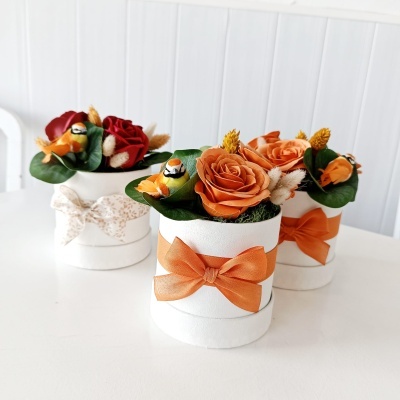 Box Flores tons terra