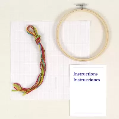 Kit de Ponto de Cruz para Iniciantes DMC