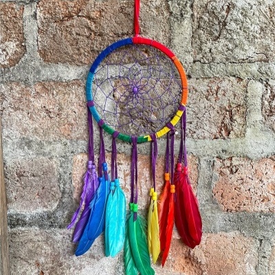 Caça Sonho Multicolor 16cm