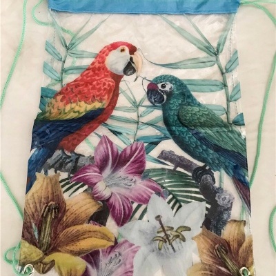 Mochila Poliester Transparente 43x31 cm