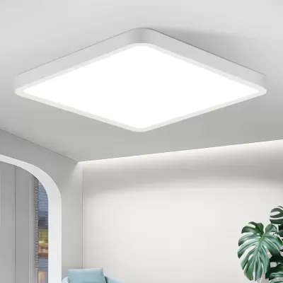 Plafond Bismuto Quadrado 24W 6500K