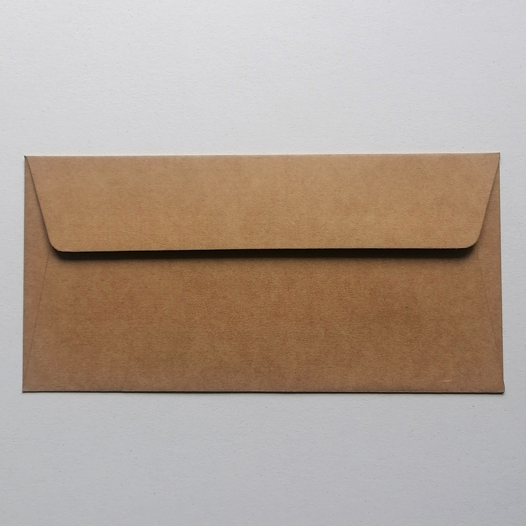 25 Envelopes Kraft DL (220x110mm)