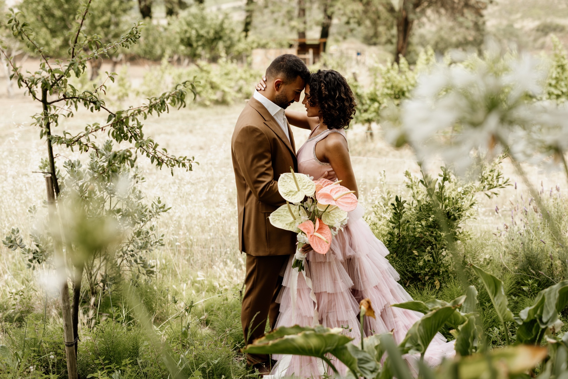 Editorial "Colorful Delicacy" 28.06.2023