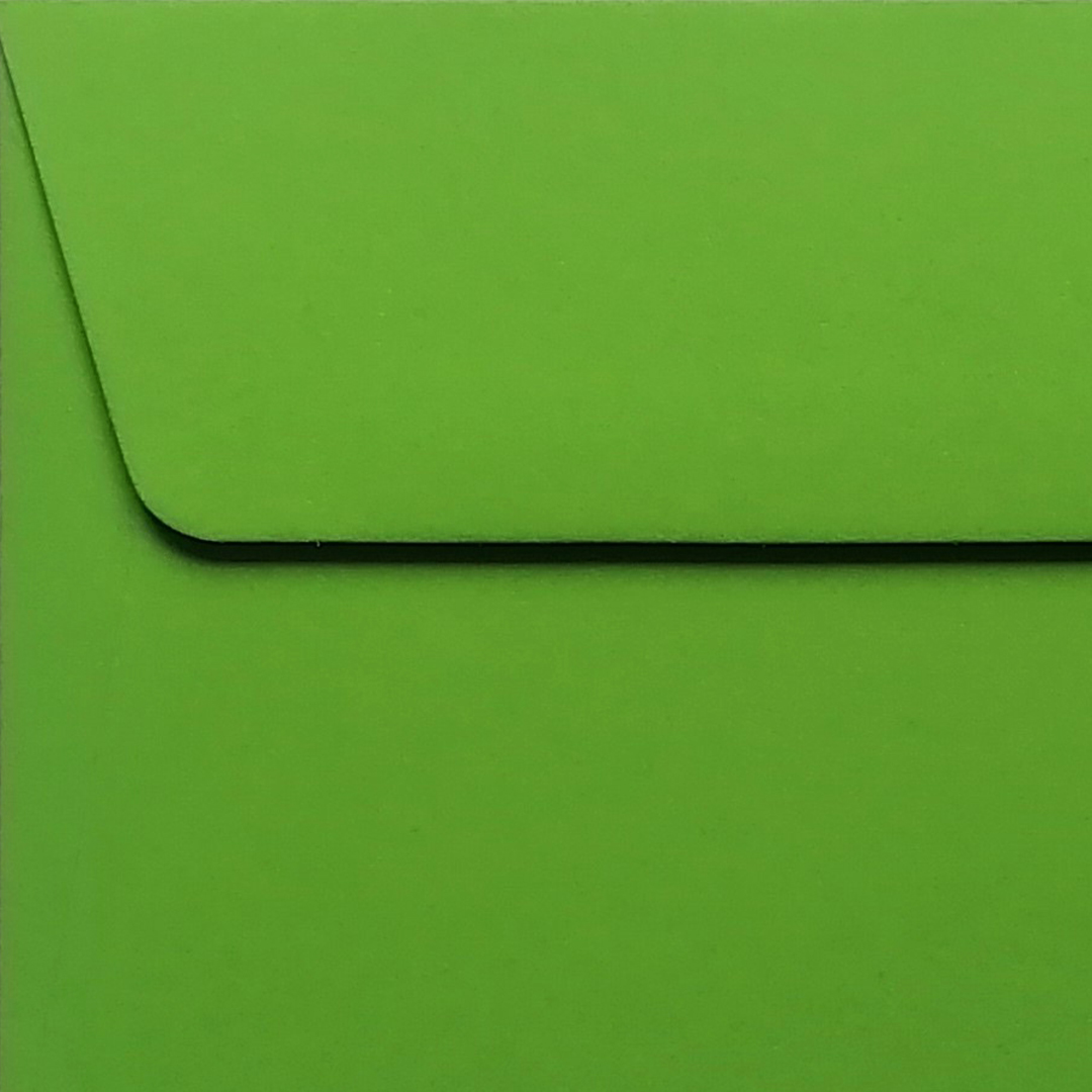 25 Envelopes Burano DL (220x110mm)