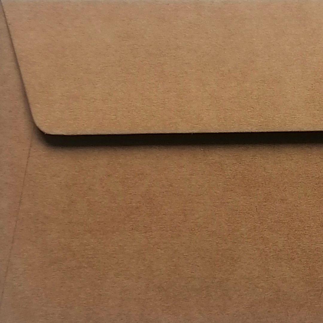 25 Envelopes Kraft DL (220x110mm)