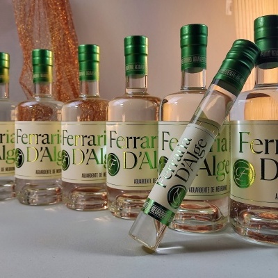 PACK EXCELLENCE, 6*50cl 1un 100ml