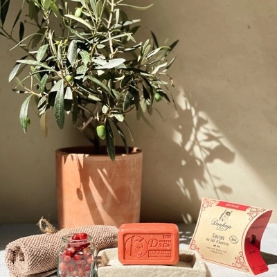 Sabonete Bio Leite de Burra Romã 100gr