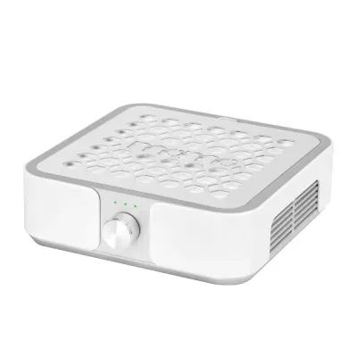 Aspirador de pó Momo P30 60 W branco prateado