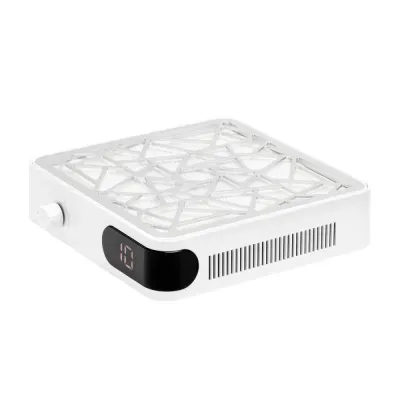 Aspirador Momo P10 Pro
