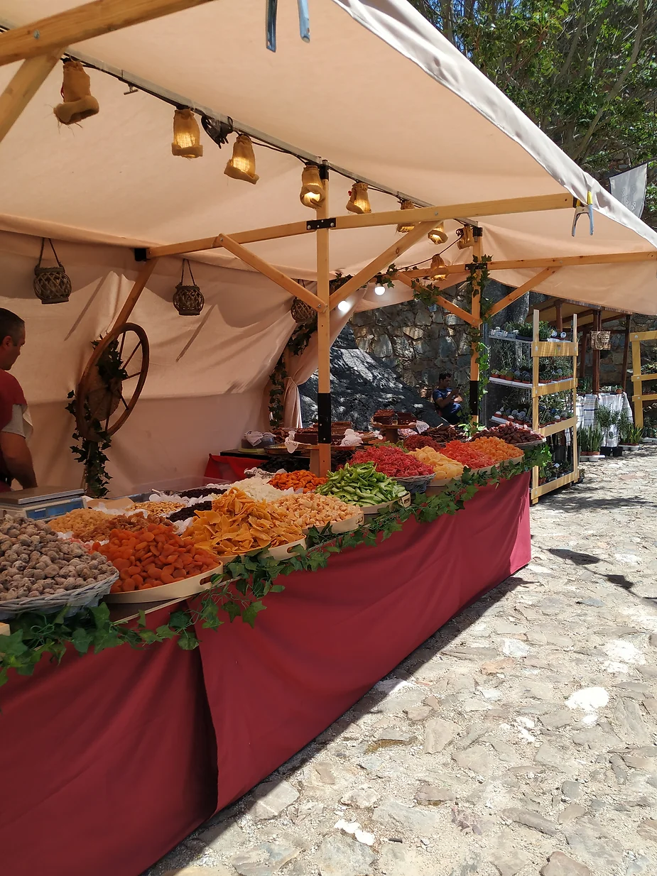 Batalha da Salgadela - Figueira de Castelo Rodrigo 2019