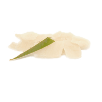 Aloe vera (100 gr.)