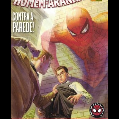 O Espetacular Homem-Aranha N.º 2