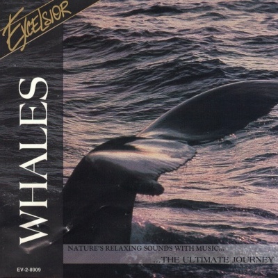 Eco Voyage | Whales [CD]