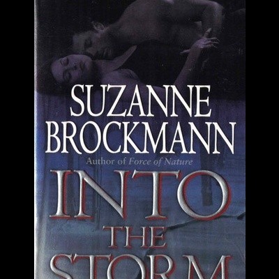 Into the Storm | de Suzanne Brockmann