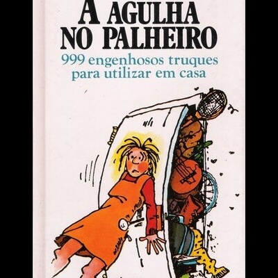 A Agulha no Palheiro | de Mary Ellen