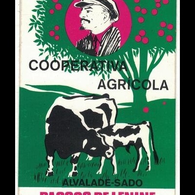 Autocolante - Cooperativa Agrícola Passos de Lenine - Alvalade-Sado