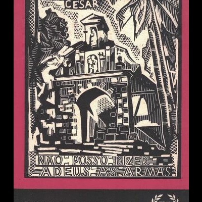 Não Posso Dizer Adeus às Armas | de Amândio César
