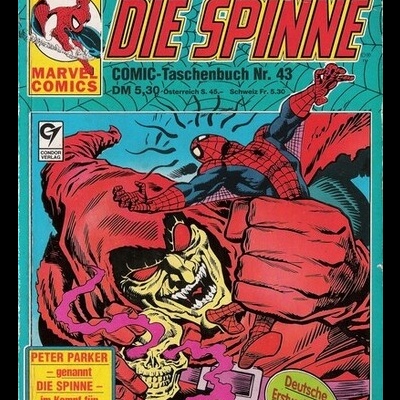 Die Spinne Nr. 43