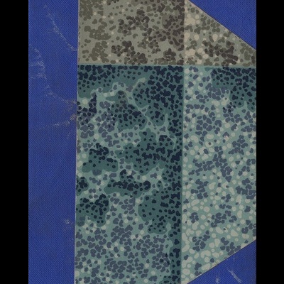 O Vôo nas Trevas | de Ferreira de Castro