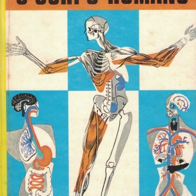 O Corpo Humano | de Raymond Holden
