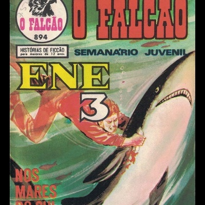 O Falcão - N.º 894 - ENE 3