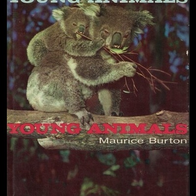 Young Animals | de Maurice Burton