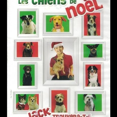 Il Faut Sauver les Chiens de Noël [DVD]