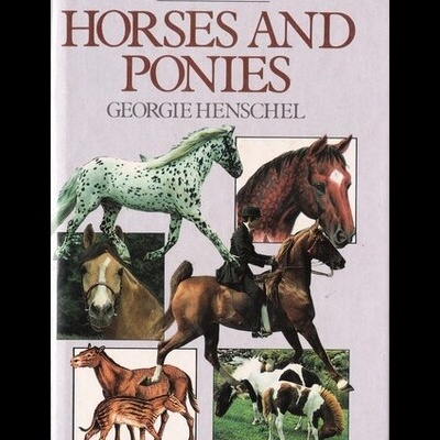 Horses and Ponies | de Georgie Henschel