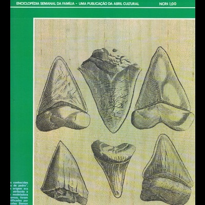 Medicina e Saúde N.º 55