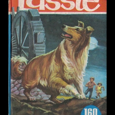 Lassie: A Azenha Misteriosa