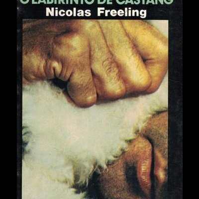 O Labirinto de Castang | de Nicolas Freeling