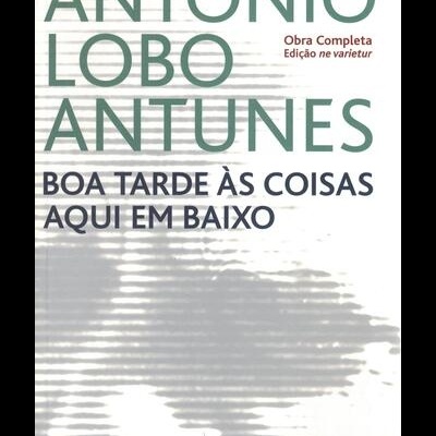 Boa Tarde Às Coisas Aqui Em Baixo | de António Lobo Antunes