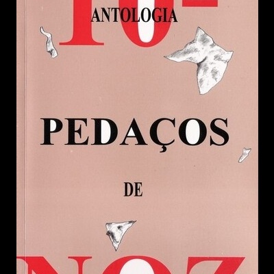 Pedaços de Noz - Volume X - Antologia 2002 | de Alunos da Escola Secundária Stuart Carvalhais