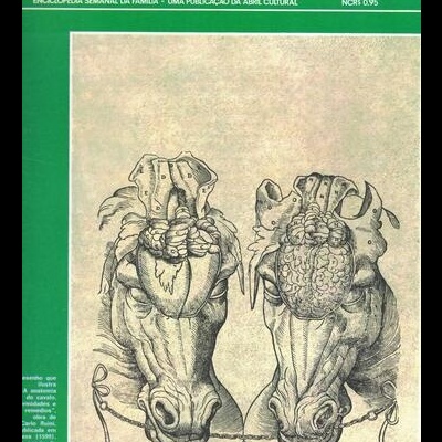 Medicina e Saúde N.º 46