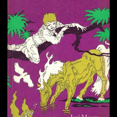 Coração de Vidro | de José Mauro de Vasconcelos