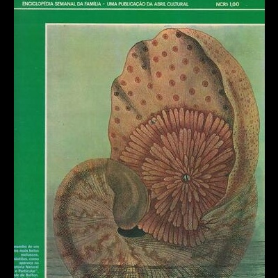 Medicina e Saúde N.º 79