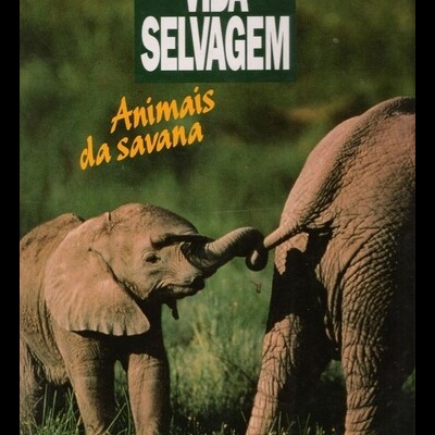 Vida Selvagem - Animais da Savana