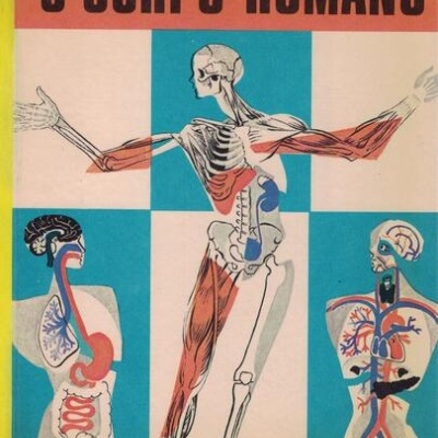 O Corpo Humano | de Raymond Holden