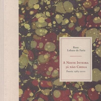 A Noite Inteira Já Não Chega | de Rosa Lobato de Faria